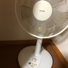 ファン
