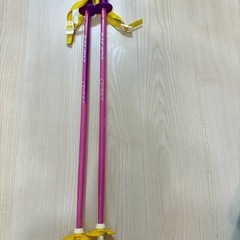 スキー　ストック　子ども用