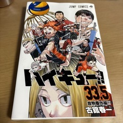 ハイキュー‼︎　33.5