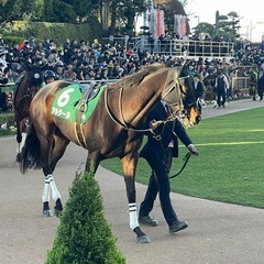 競馬を通じて友達になろう！競馬仲間・競馬友達募集です♪ - 友達