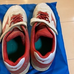 少年野球　スパイクの画像