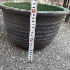②すいれんばち　睡蓮鉢　水鉢　メダカ鉢　32.5㎝の画像