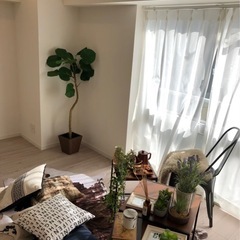 インテリア　チェアの画像