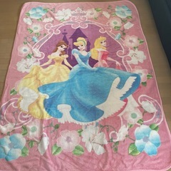 コストコ・ディズニー・プリンセス・毛布・ブランケット・大判・15...