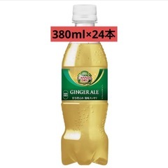 【決まりました】ジンジャーエール　380ml×24本