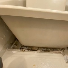 お風呂の画像