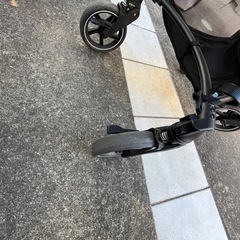 ピジョンランフィA型　2022年モデルの画像