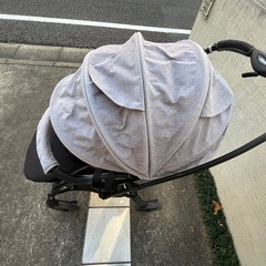 ピジョンランフィA型　2022年モデル