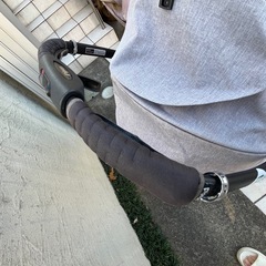 ピジョンランフィA型　2022年モデルの画像