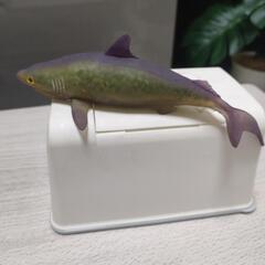 差し上げます！サメ🦈さん写真5確認して☝️小さなキズが有りますが...