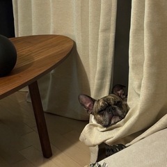 IKEA ストックホルム　テーブル　の画像