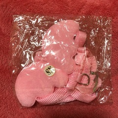 わんちゃんお散歩用セットの画像