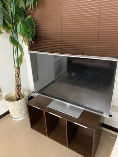 取引中　テレビ