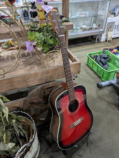 アコースティック ギター