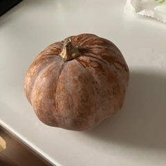 【無料】小ぶりなかぼちゃ