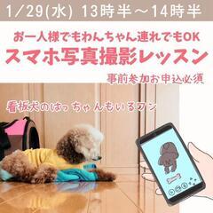 お一人様でもわんちゃん連れでもOK

『スマホ写真撮影レッスン』