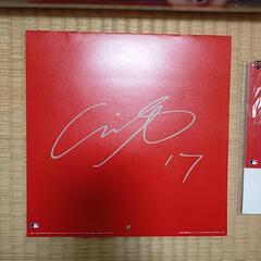 【値下げ】大谷翔平 ポスター カレンダー 卓上 壁掛の画像
