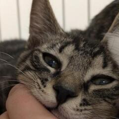 うさしっぽがかわいい♡ラクくん