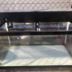 水槽　90cmの画像