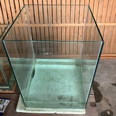 （決定！）30センチ　キューブ水槽