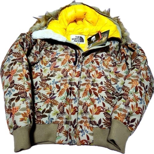 THE NORTH FACE/ダウンジャケット