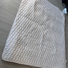 【無料あげます】ウールベットパットWD