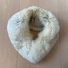 サガフォックスの中古が安い！激安で譲ります・無料であげます