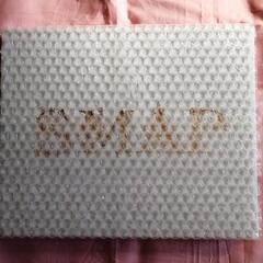 SMAP　ファンクラブ限定品　写真集