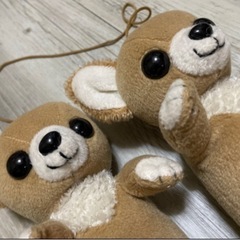 ブーツキーパー　チワワの画像