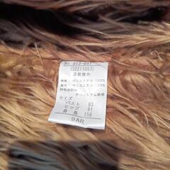 ファーコートの画像