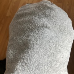 レディースニット帽の画像