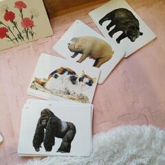 くもん知育カード生活図鑑動物くだものやさい身近なひらがななど箱無しの画像