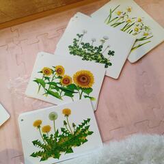 くもん知育カード生活図鑑動物くだものやさい身近なひらがななど箱無しの画像