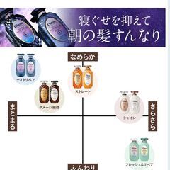 ダイアンDianナイトリペアシャンプー詰替の画像