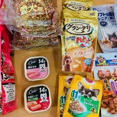 ペット　ドッグフードの画像