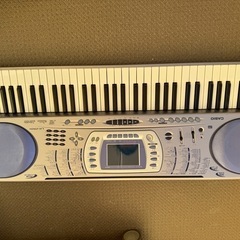CASIO 電子オルガン 61鍵 シルバー/ブルー