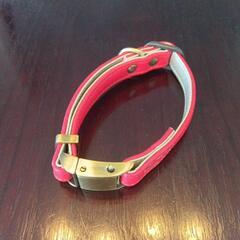 【試着のみ】首輪　フェイクレザー　小型犬〜中型犬　