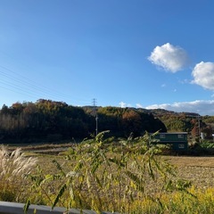 お困りの方いませんか☆
