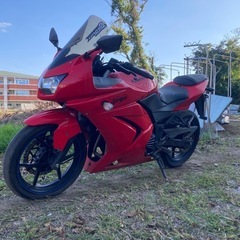 フルカウル　ニンジャ250Ｒの画像