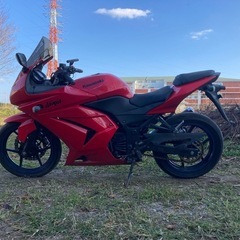 フルカウル　ニンジャ250Ｒの画像
