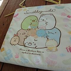 すみっコぐらし 光るぬいぐるみ 2個 クッションの画像