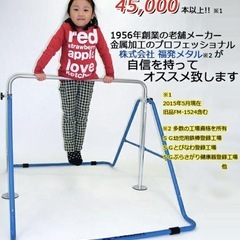 子供用 折り畳み　鉄棒  紺 ネイビーブルーの画像