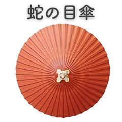 蛇の目傘　結婚式の相合傘