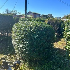草刈りや剪定、引越し手伝い等 - 宮崎市