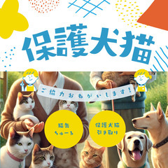 猫のエサをお安く譲っていただきたいです！