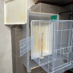 サンコー バードケージ 鳥かご