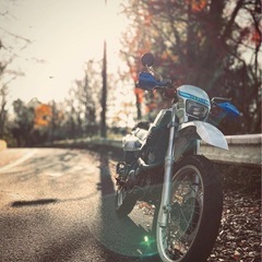 超希少！前後ドラレコ！ヤマハ　アルテシア400 XT400 の画像