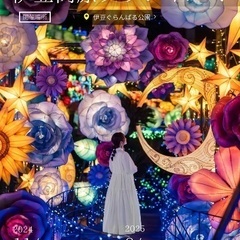 🈵【現8名】1/19伊豆グランパルイルミ＆城ヶ崎＆他@日帰り旅行