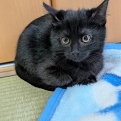 【トライアル予定の為、募集を一旦停止します】 − 愛知県