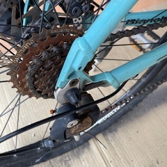 ビアンキ　クマ　29.3の画像